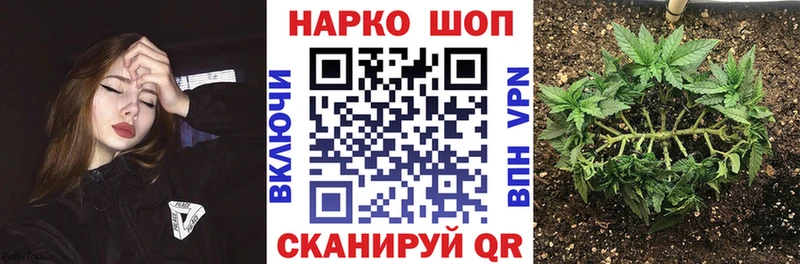 Купить закладку Alpha-PVP Кокаин Псилоцибиновые грибы Канабис Меф Тарко-Сале