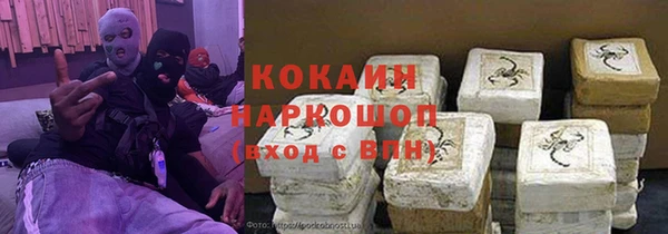 СК Каменногорск