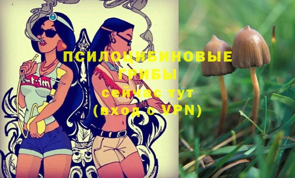 прущая мука Каменск-Шахтинский