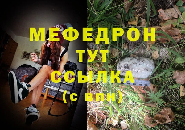 СК Каменногорск