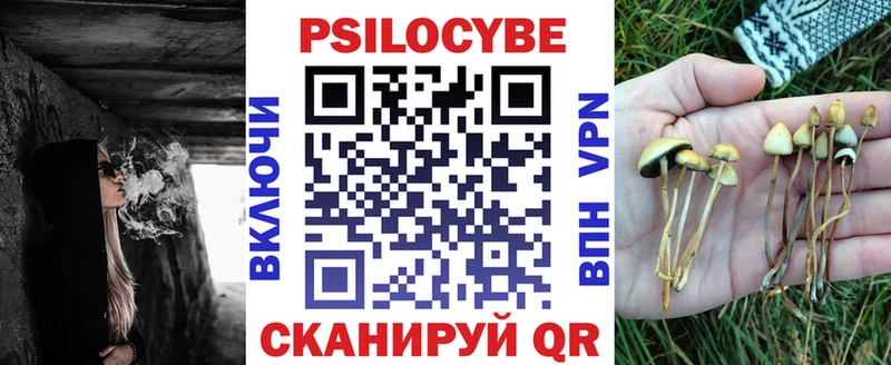 Купить закладки  Тарко-Сале  Псилоцибиновые грибы ЛСД 